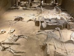 -洛阳周王城天子驾六博物馆