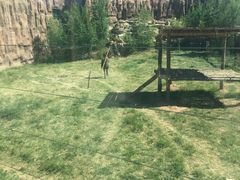 -鄂尔多斯野生动物园