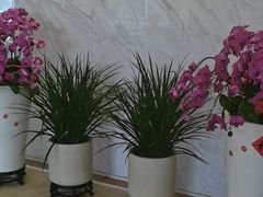 -广州酒家(花都店)