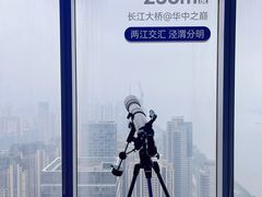 -武汉绿地中心