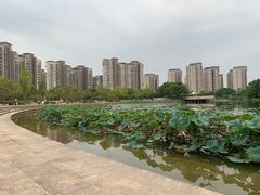 -新江湾城公园