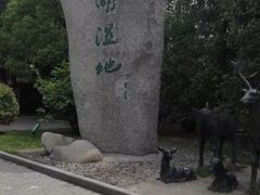 -溱湖国家湿地公园