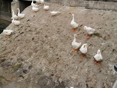 -西安汉城湖景区