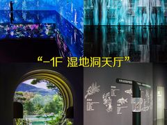 -中国湿地博物馆