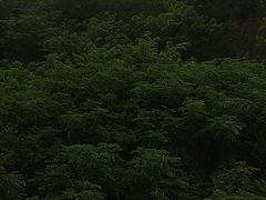 -海南热带海洋学院(三亚校区)