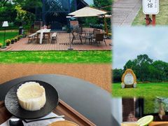 -长兴太湖图影湿地文化园