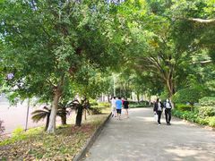 -广东科技学院(南城校区)