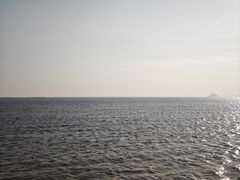 -野狸岛