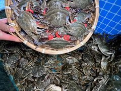 -蓝珊甄选海鲜自助·火锅大排档(近阿那亚店)
