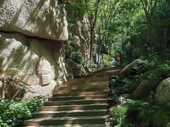 -大岭沟猕猴桃谷风景区