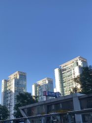 -THE LOG SALON 记录