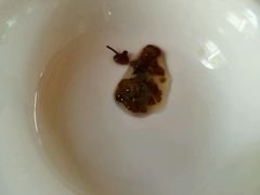 -老根农家饭店
