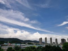 -广州神农草堂中医药博物馆
