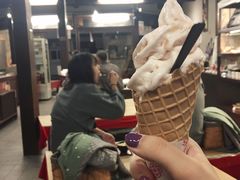 -城崎温泉 外七汤