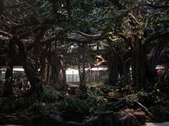 -碧桂园总部大楼