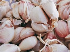 -尤素福东举院饺子馆