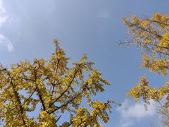 -重庆中央公园(渝北区)