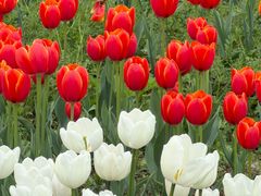 -浙江农林大学(东湖校区)