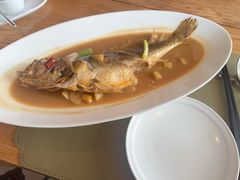 黄鱼-新荣记(新源南路店)