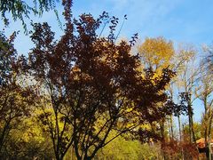 -西宁市人民公园(城西区)