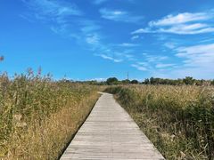 -野鸭湖国家湿地公园