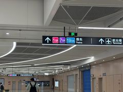 -杭州萧山国际机场