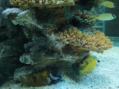 -乌鲁木齐海洋馆