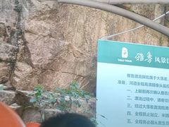 -雅鲁激流探险漂流