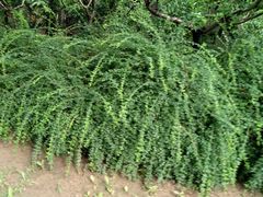 -丽都DELICATESSEN熟食店