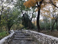 -阳台山自然风景区