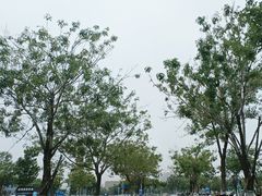-刘公岛景区