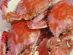 -东戴河风景区-止锚湾