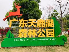 -天鹿湖森林公园