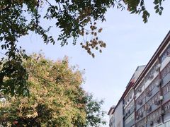 -一记洛阳菜·糖醋小排·水席(十字街店)