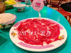 鲜吊龙-粉灯牛腩牛杂煲·鸡煲(双井店)