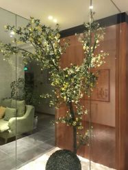 -圣轩·诗安国际母婴会所(渝中店)