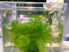 -趣陶陶艺手工坊(新世界百货重庆店)