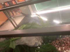 -潮发潮汕牛肉店(永庆坊店)