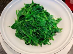 豌豆尖-甄御•海鲜新青岛菜(麦岛店)