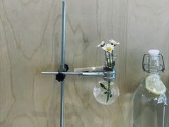 -常识咖啡common sense(春熙路店)