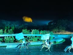 -鼎盛王朝康熙大典实景演出