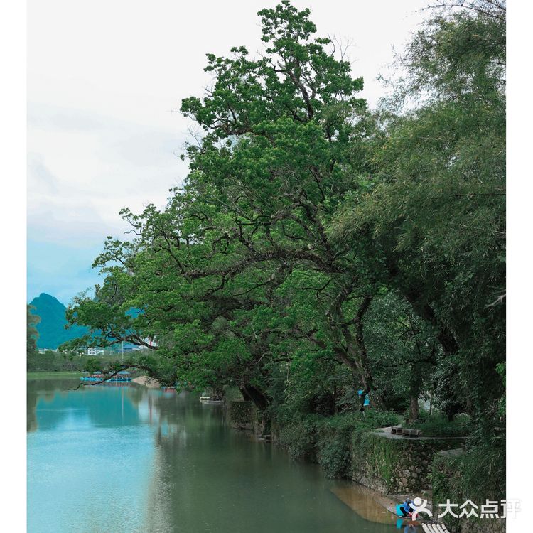 阳朔旅行必做的N件事➕防坑攻略