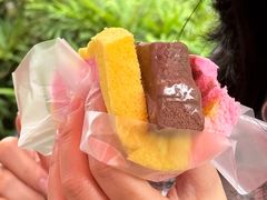 -詹爷爷乌节路街头冰淇淋
