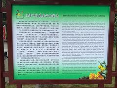 -金花茶公园