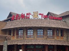 -上海野生动物园老虎餐厅