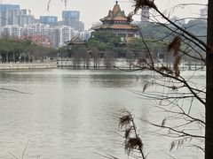 -顺峰山公园