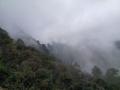 -武陵山森林公园