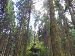 -上色见熊野座神社