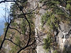 -塔云山