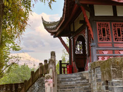 -桂湖森林公园